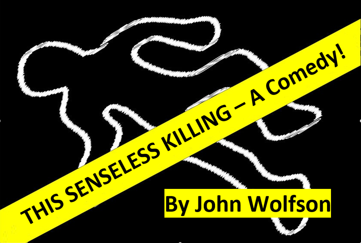 senseless-image-revised-break-a-leg-productions